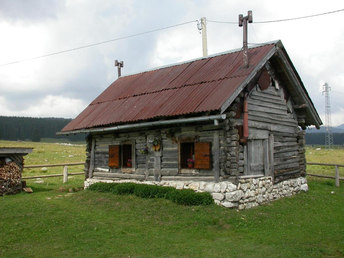 Hotel Alpi - Foza Extérieur photo